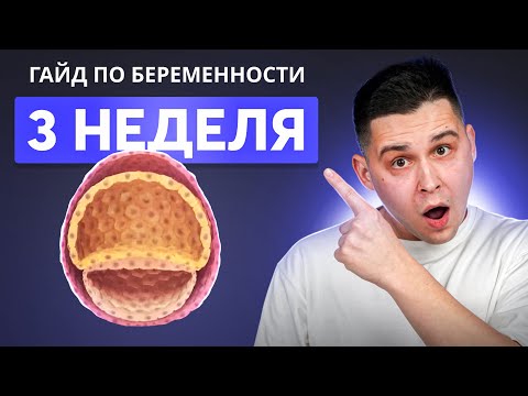 Видео: 3 НЕДЕЛЯ БЕРЕМЕННОСТИ | Беременность по неделям с доктором Ченчак