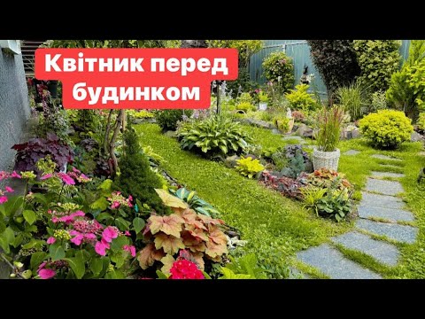 Видео: Прогулянка після зливи,дощовий липень