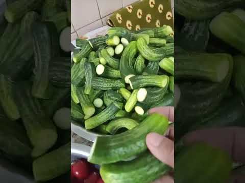 Видео: Бодринг епишнинг ишончли усули