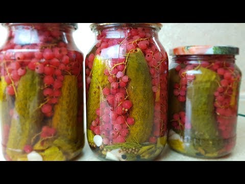 Видео: Самые ВКУСНЫЕ огурцы с КРАСНОЙ СМОРОДИНОЙ, цыганка готовит. Gipsy cuisine.