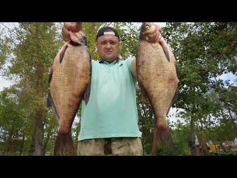 Видео: Как вкусно пожарить рыбу в казане!!!!Вкуснее вы не ели!!!!Лещ по татарски с луком 🧅 в казане!!!