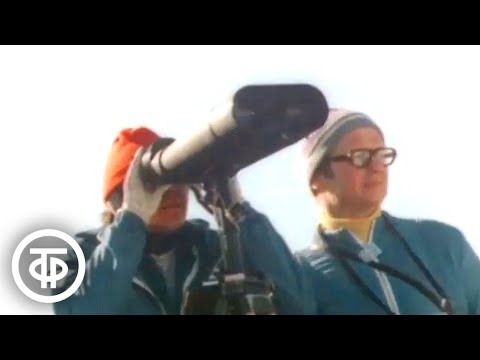 Видео: Выстрелы на лыжне. О зимнем двоеборье - биатлоне (1974)