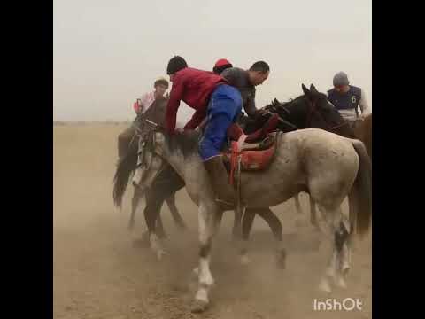 Видео: ПРЕДТЕЧЕНКА АЙЫЛЫ КЕЛИН ТОЙ