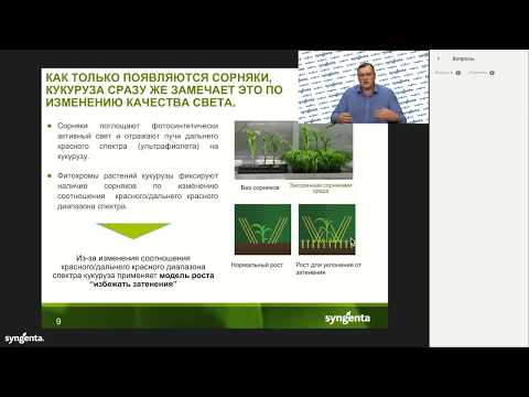 Видео: Вебинар «Почвенные и раннепослевсходовые гербициды»