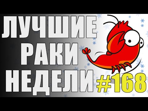 Видео: ЛРН выпуск №168. МИНСКАЯ АНОМАЛИЯ и "НЕЗАСЛУЖЕННАЯ" МЕДАЛЬ КОЛОБАНОВА [Лучшие Раки Недели]
