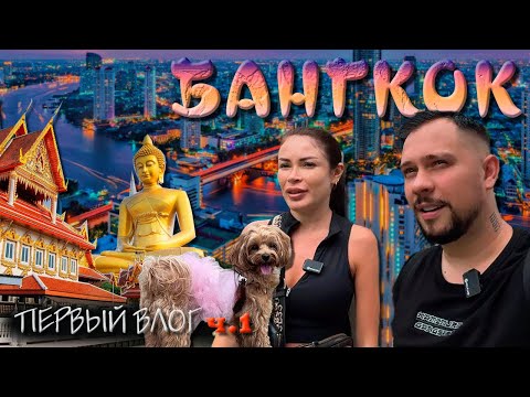 Видео: БАНГКОК 2025 ПУТЕШЕСТВУЕМ С СОБАКОЙ (VLOG 1)