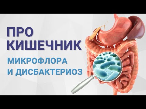 Видео: Микрофлора кишечника. Дисбактериоз кишечника