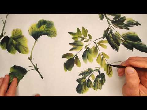 Видео: Учимся изображать листья хризантемы и пиона