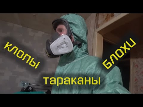 Видео: Избавили квартиру от тараканов, клопов и блох. Что было через 2 недели? | Герадез