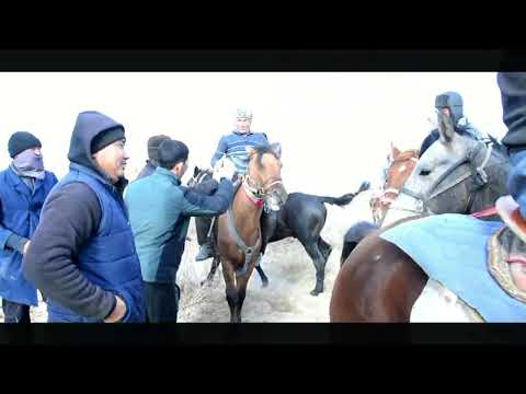 Видео: Нокис районы Кердер еллатында Манибаевлар шаңарағында Келин той Ылақ ойын Көкпары  Бахадир & Гулзар