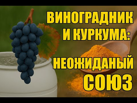 Видео: Біофунгіцид Ізокур для винограду: що змінює правила гри?
