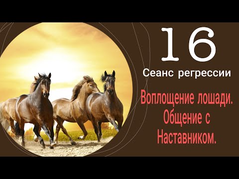 Видео: #16 Сеанс регрессии  Воплощение лошади. Общение с Наставником