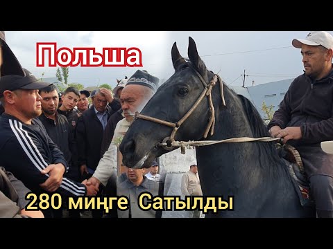 Видео: Адыл ава  Сооданы Жарды 3 минутта 30 миң  пайда Польша Сатылды