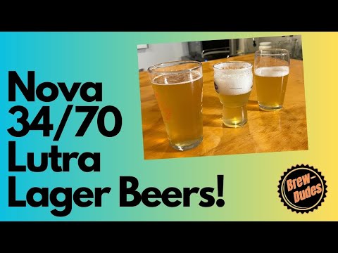 Видео: Сравнение сухих дрожжей NovaLager, W-34/70 и Lutra Kveik!