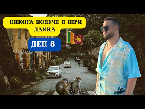 Видео: НИКОГА ПОВЕЧЕ В ШРИ ЛАНКА I 60 ДНИ В АЗИЯ - ДЕН 8