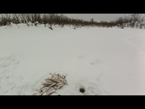Видео: Глухозимье,рыбалка супер.