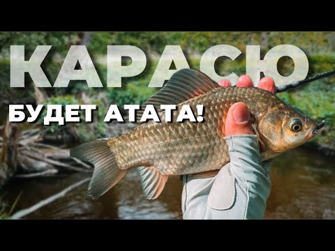 Видео: КАРАСЮ БУДЕТ АТАТА! Рыбалка с CF Nano Zero Air. МОРМЫШИНГ на пруду.
