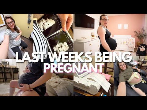 Видео: 35–38 недель беременности🤰 | Запись на прием, новости о животе и подготовка к рождению ребенка!