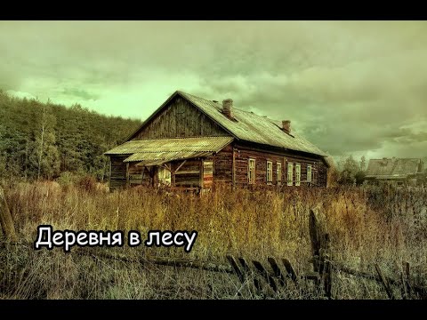 Видео: ЗАБРОШЕННЫЙ ДОМ ОХОТНИКА В ЛЕСУ. НАХОДКИ ПОРАЖАЮТ! Покинутая деревня ВАСИНО, Рязанская область