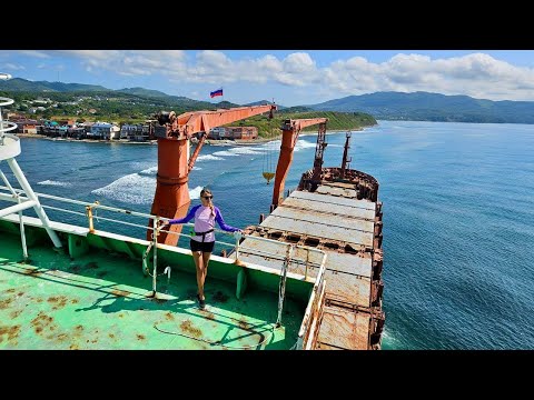 Видео: Лисий остров, морской гребешок и контейнеровоз / Выходные в Находке / Сентябрь 2025