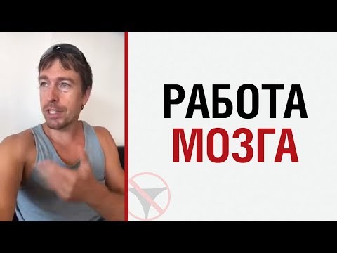 Видео: Алекс Лесли о работе мозга