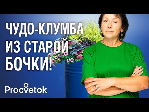 Видео: ИЗ СТАРОЙ БОЧКИ — ФАНТАСТИЧЕСКАЯ КЛУМБА! Как создать яркий и оригинальный цветник: мастер-класс