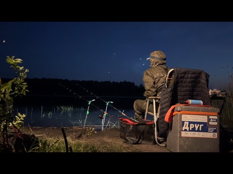 Видео: Большие рыбы срывают удочки с рогаток! Шикарная рыбалка с ночёвкой на реке! #рыбалка #72 #фидер