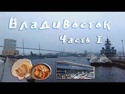 Видео: Владивосток 2023, часть 1, перелёт и первые впечатления, DOTR #50 #владивосток #приморскийкрай #краб