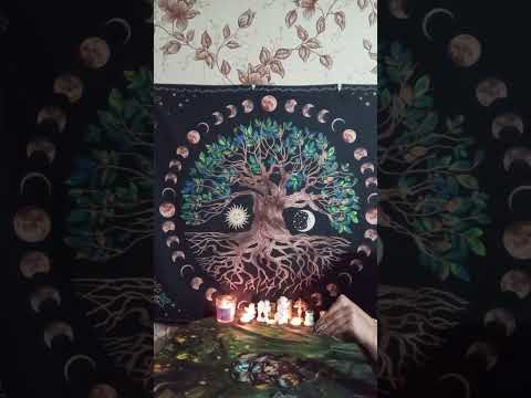 Видео: 🍁👀ТАРО ДЛЯ МУЖЧИН. Что будет меняться в вашей жизни в октябре месяце#мысличувствадействия#tarot 👀🍁