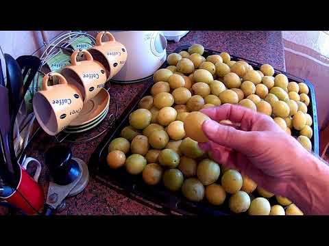 Видео: джем из слив