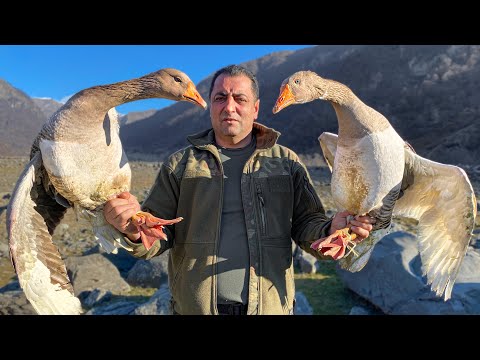 Видео: 2 Нежных Тушеных Гуся с Божественным Соусом! Жизнь в далекой Деревне