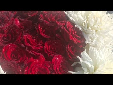 Видео: KFS Бомаззааа