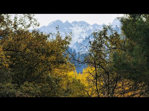 Видео: Китай-тропа (full video)