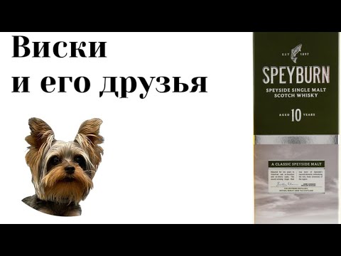 Видео: Дегустация Speyburn 10