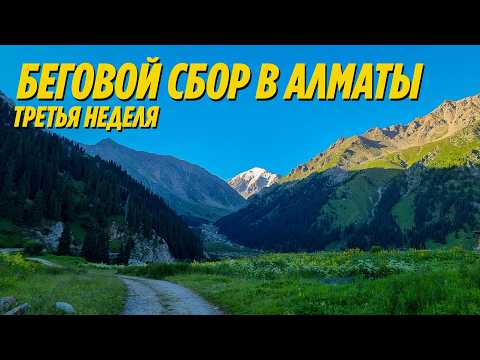 Видео: Горный беговой сбор в Алматы: финальные тренировки и подводка к Большой Кругосветке | НЕДЕЛЯ 3
