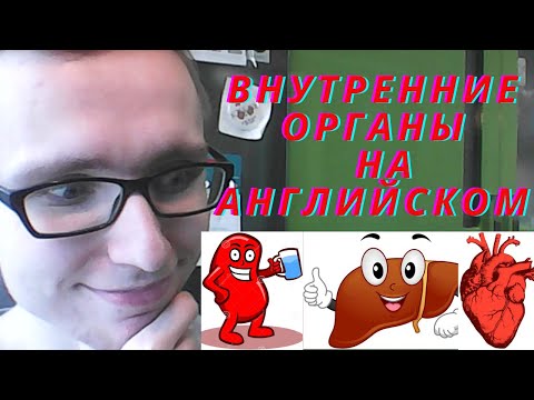 Видео: ВНУТРЕННИЕ ОРГАНЫ НА АНГЛИЙСКОМ
