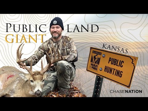 Видео: ГИГАНТСКИЙ ОЛЕНЬ на ОБЩЕСТВЕННОЙ ЗЕМЛЕ | Kansas Bow Hunt