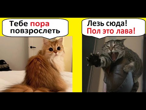 Видео: МЕМЫ. Не хочу взрослеть, ведь пол это лава! Лютые приколы.