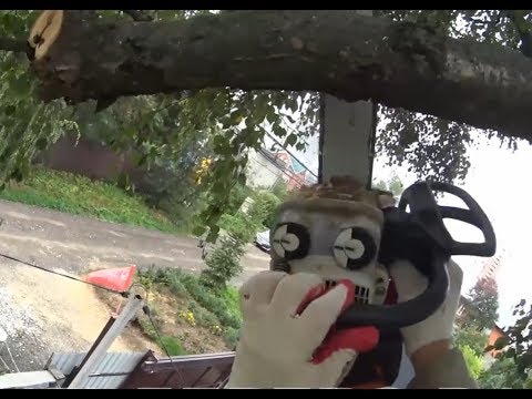 Видео: Как спилить дерево в окружении проводов. How to cut a tree surrounded by wires.