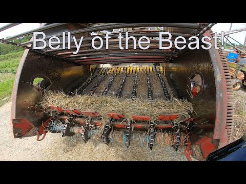Видео: Вид изнутри старого цепного пресс-подборщика New Holland, перекатывающего сено