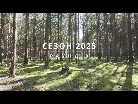 Видео: Грибной Сезон 2025: Раунд 3