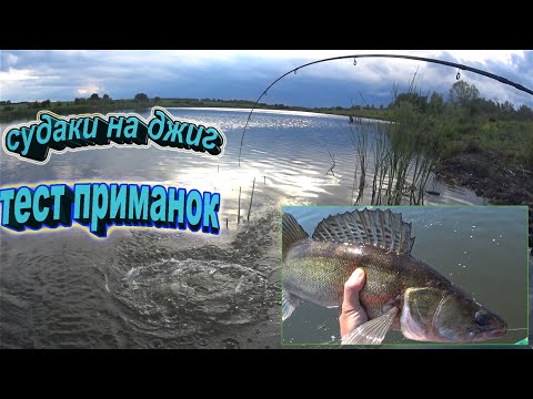 Видео: Тест силиконовых приманок! Судаки на спиннинг! Джиговая рыбалка с лодки на пруду!