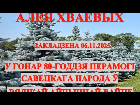 Видео: Зелёная школа действует!