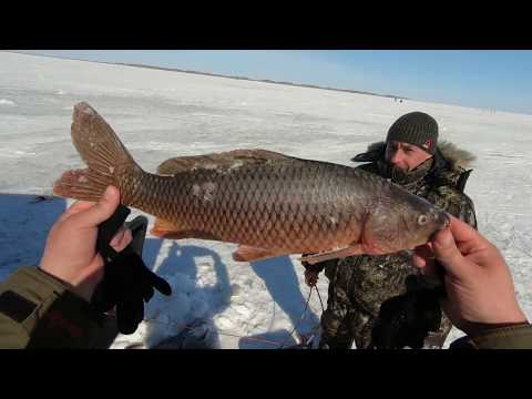 Видео: ОЗЕРО ЧАНЫ! РЫБАЛКА ПРОСТО КЛАСС! МАРТ 2020!