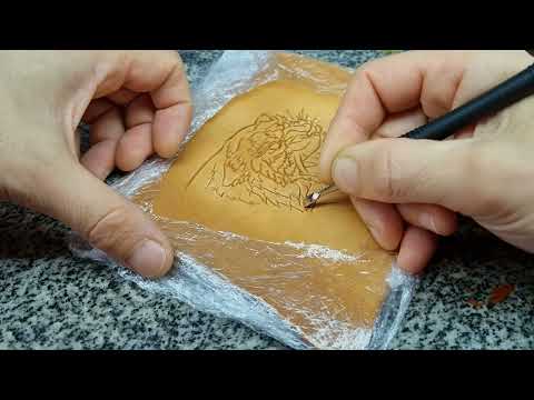 Видео: Тигр моделирование
