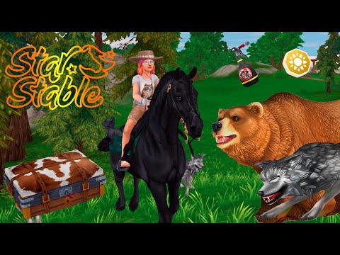 Видео: Смотрим лагерь Вестерн, интересные задания и поиск сокровищ 🎁Star Stable Online