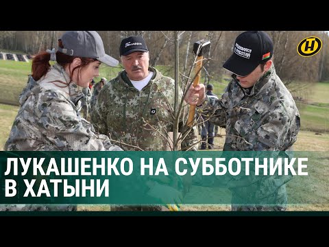 Видео: "Коль, притопчи!" Как Лукашенко в Хатыни сажал дубы / Республиканский субботник