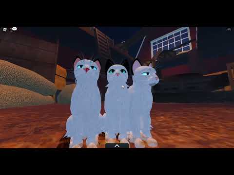 Видео: ДЕЛАЮ КОТОВ ИЗ СОЧИ В WCUE! Warrior Cats! Roblox! КОТЫ ВОИТЕЛИ!