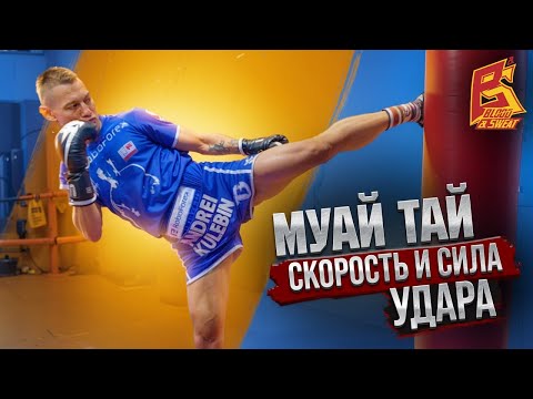 Видео: Сила и скорость ударов ногами / Белорусская школа тайского бокса
