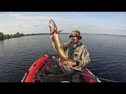 Видео: Рыбалка с подписчиком, ловим щуку окуня на спиннинг.